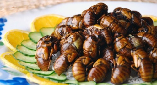 9 món ăn kinh dị của Nhật Bản khiến du khách “khóc thét”