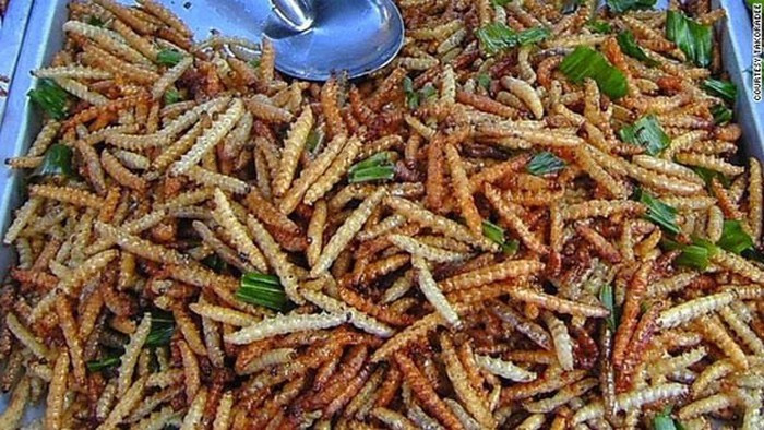Bạn đã biết về những món đặc sản với nguyên liệu là sâu này chưa?