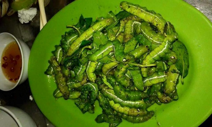 Bạn đã biết về những món đặc sản với nguyên liệu là sâu này chưa?