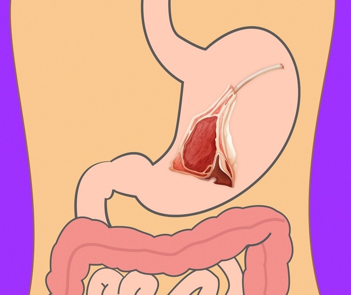 Có thể bạn chưa biết thời gian tiêu hóa của các loại thực phẩm này