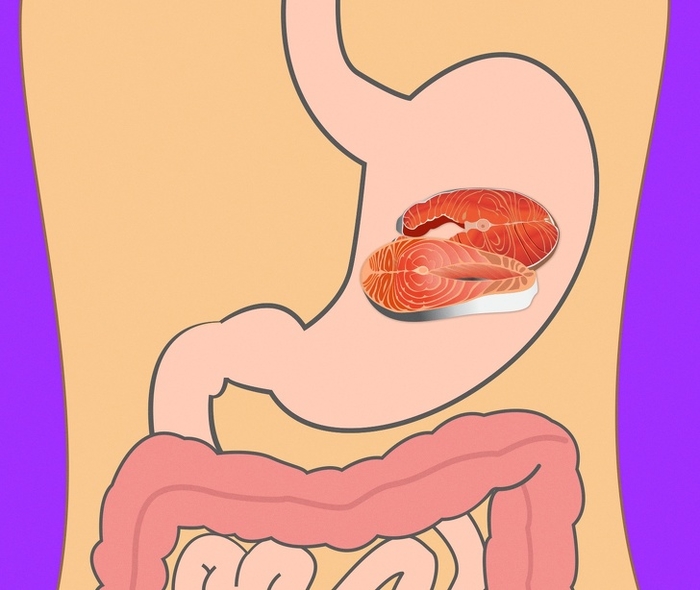 Có thể bạn chưa biết thời gian tiêu hóa của các loại thực phẩm này