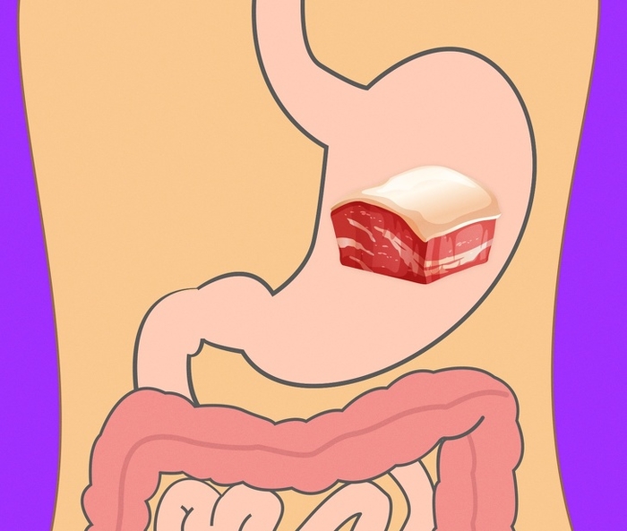 Có thể bạn chưa biết thời gian tiêu hóa của các loại thực phẩm này