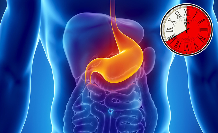 Có thể bạn chưa biết thời gian tiêu hóa của các loại thực phẩm này