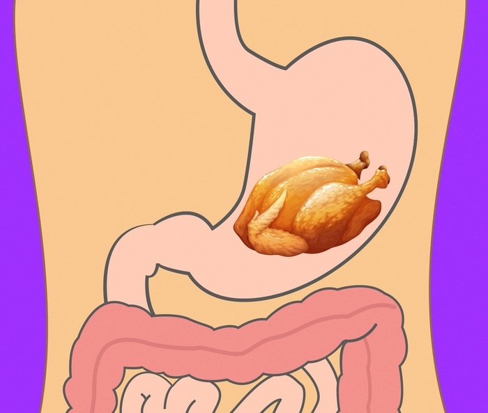 Có thể bạn chưa biết thời gian tiêu hóa của các loại thực phẩm này