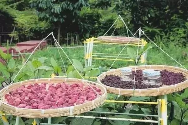 Cuộc sống an nhiên, bình dị khi về già mà ai cũng mong muốn