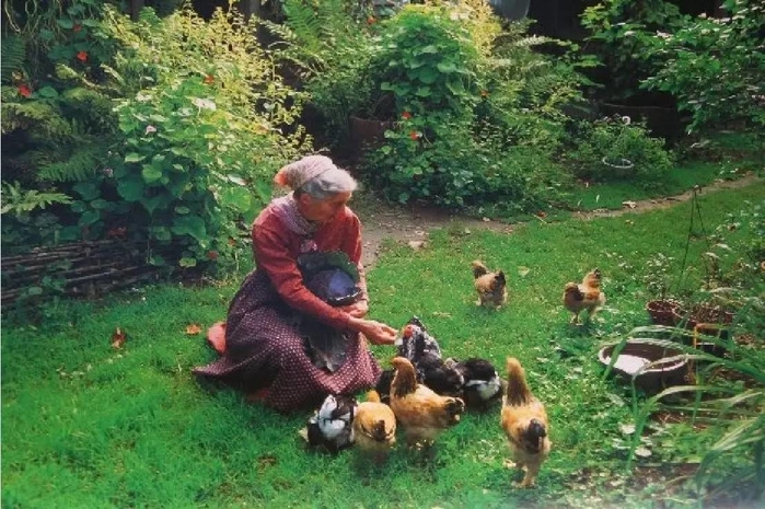 Cuộc sống an nhiên, bình dị khi về già mà ai cũng mong muốn