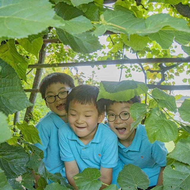 Daehan - Minguk – Manse thay doi nhu the nao sau 3 nam tu khi len song