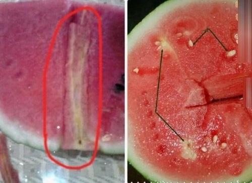 Dấu hiệu nhận biết dưa hấu nhiễm độc