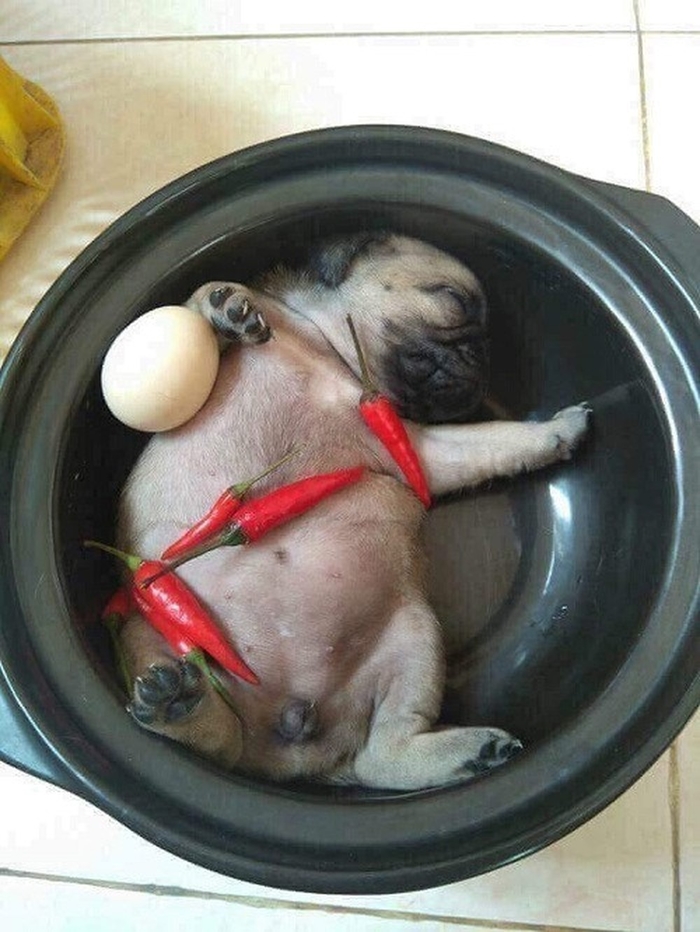 Giải trí cuối tuần với loạt ảnh vui tuần qua