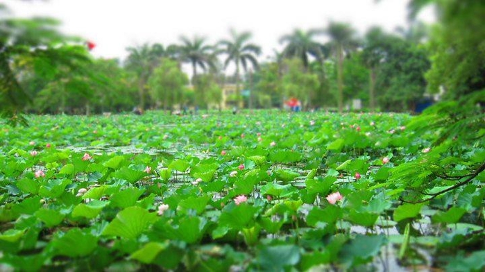 Ngôi trường đặc biệt rộng bậc nhất Việt Nam, có nhiều góc sống ảo