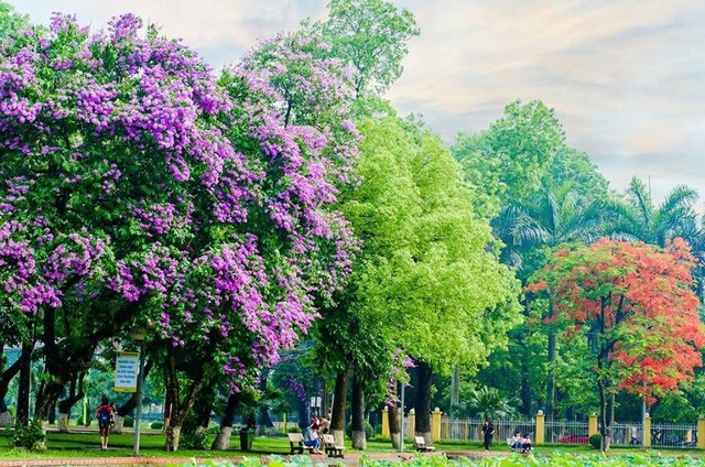Ngôi trường đặc biệt rộng bậc nhất Việt Nam, có nhiều góc sống ảo