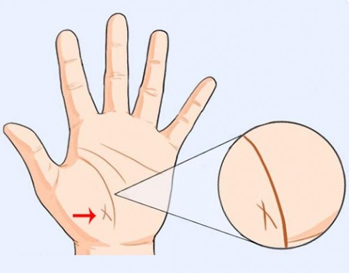 Nếu lòng bàn tay có những đường vân này, cuộc đời sẽ cực kỳ may mắn