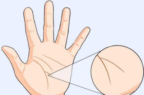 Nếu lòng bàn tay có những đường vân này, cuộc đời sẽ cực kỳ may mắn