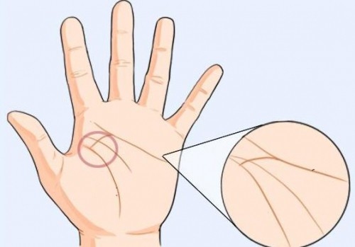 Nếu lòng bàn tay có những đường vân này, cuộc đời sẽ cực kỳ may mắn
