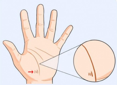 Nếu lòng bàn tay có những đường vân này, cuộc đời sẽ cực kỳ may mắn