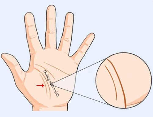 Nếu lòng bàn tay có những đường vân này, cuộc đời sẽ cực kỳ may mắn