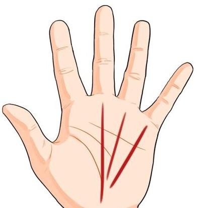 Nếu lòng bàn tay có những đường vân này, cuộc đời sẽ cực kỳ may mắn