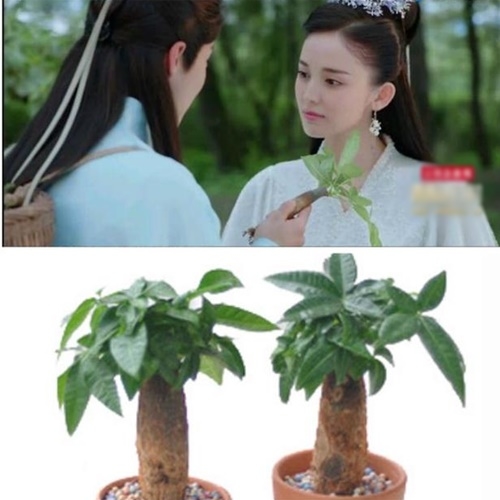 Những đạo cụ có một không hai trong phim cổ trang Trung Quốc