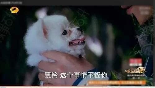 Những đạo cụ có một không hai trong phim cổ trang Trung Quốc