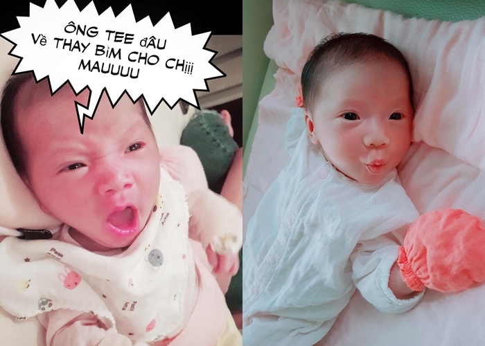 Những nhóc tì “mới nổi” nhà sao Việt khiến CĐM đứng ngồi không yên