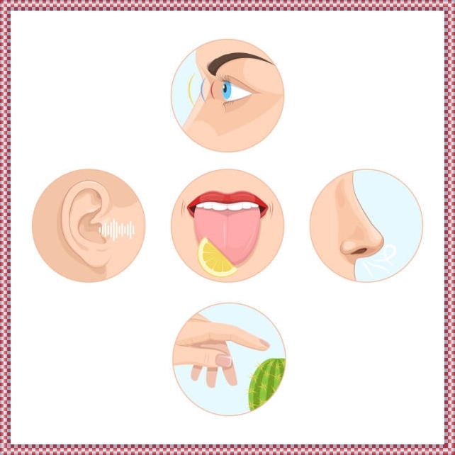 Những quan niệm sai lầm mà chúng ta vẫn thường mặc nhiên cho là đúng