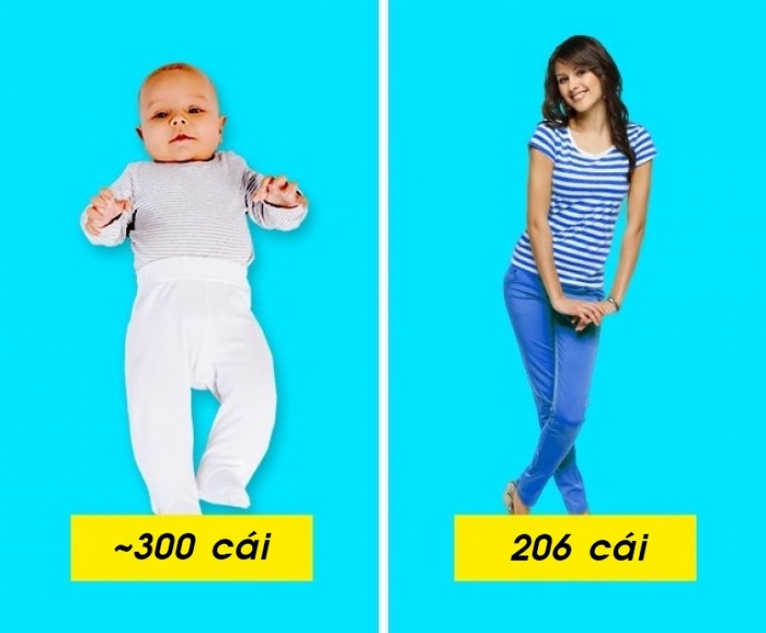 Những sự thật thú vị về cơ thể con người chỉ 10% dân số thế giới biết