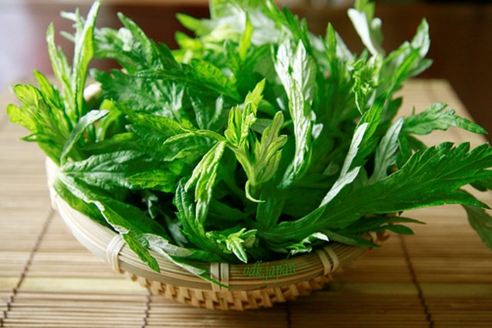 Những thực phẩm mẹ nên tránh khi mang thai tháng đầu tiên