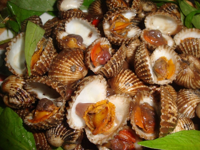 Thực hiện thao tác đơn giản này đất cát trong nghêu sò sẽ sạch bách