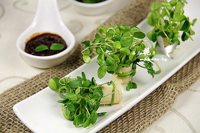 Tưởng vứt đi nhưng 4 thực phẩm này lại cho giá trị cực cao khi mọc mầm