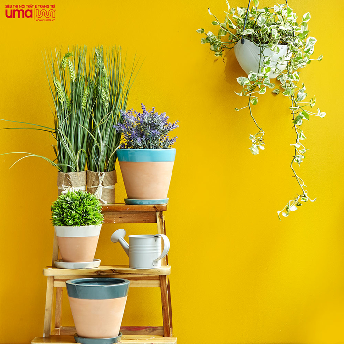 5 chiêu đơn giản cho ngôi nhà hợp phong thủy