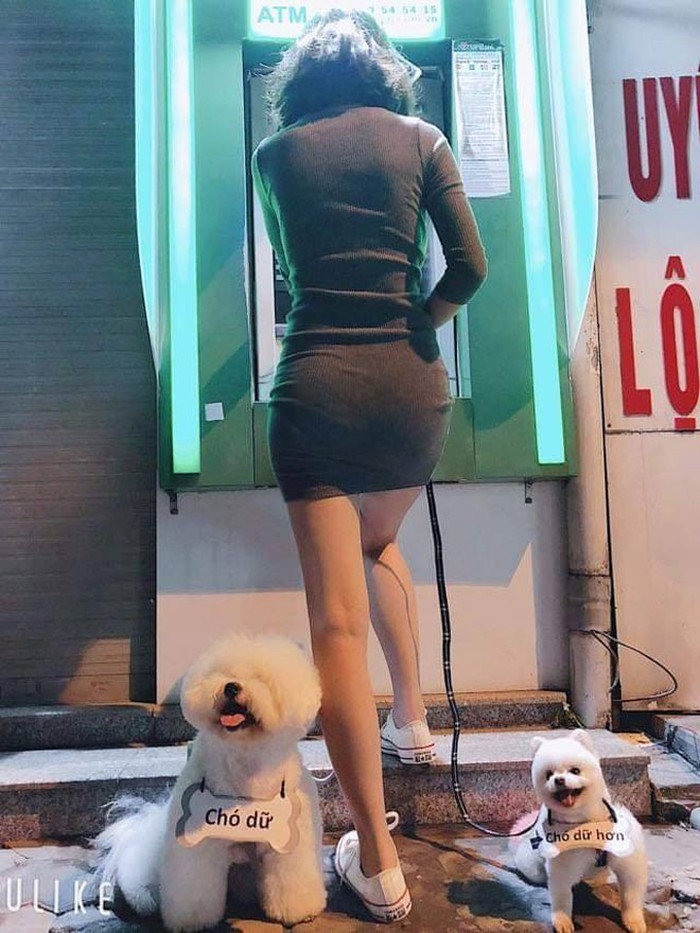 Ảnh vui tuần qua: Vệ sĩ an toàn khi rút ATM, chăm lo cho thần tượng