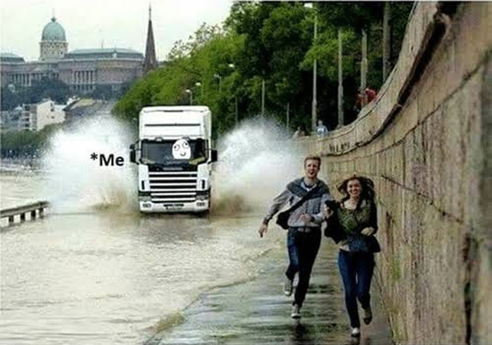 Ảnh vui tuần qua: Mẫu gà bên cúc họa mi, sen - boss cười hở răng