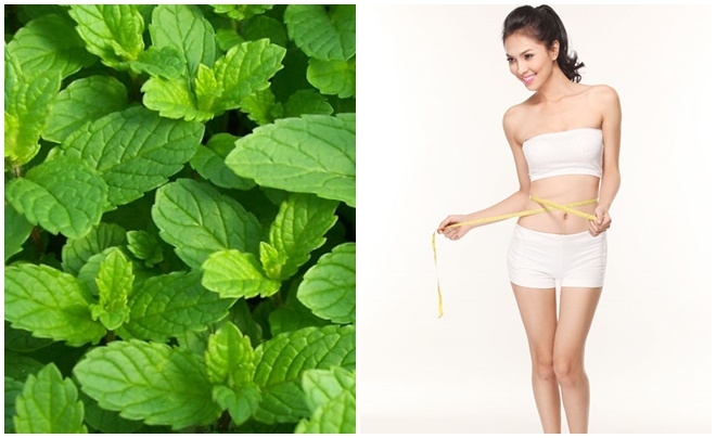 Những loại thực phẩm giúp giảm mỡ thừa hiệu quả, tốt cho sức khỏe