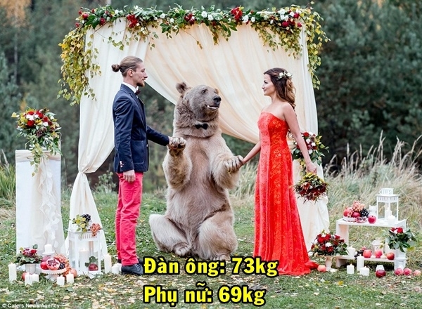 Bảng tỉ lệ cân nặng trung bình mới nhất của các nước trên thế giới