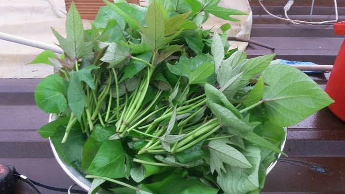 11 loại rau xanh giúp mẹ bầu ngon miệng hơn trong bữa ăn
