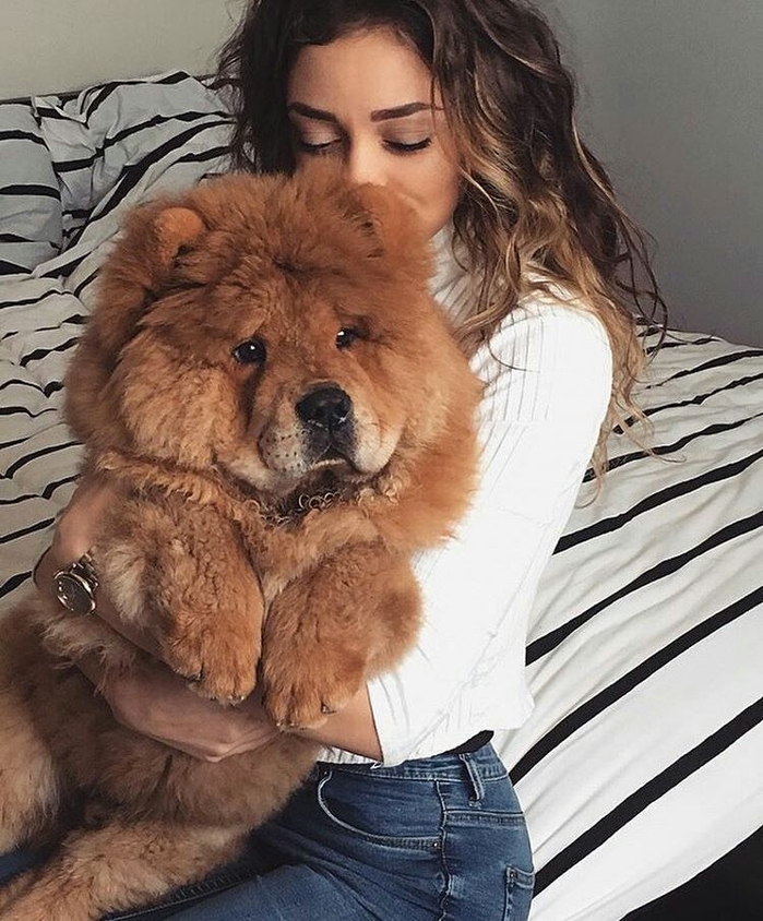 12 loài động vật không nên nuôi trong gia đình có trẻ nhỏ