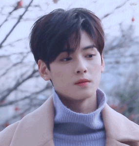 Câu trả lời bất ngờ của Cha Eunwoo khi buộc phải lựa chọn giữa 2 mỹ nữ