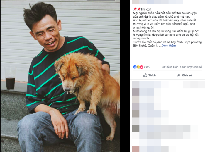 Chú chó mù sau một thời gian đã trở về với anh đánh giày câm