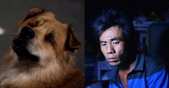 Chú chó mù sau một thời gian đã trở về với anh đánh giày câm