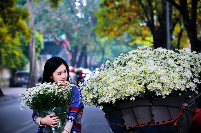 Chẳng áo gấm váy hoa, những “người mẫu” này vẫn rực rỡ cùng cúc hoạ mi