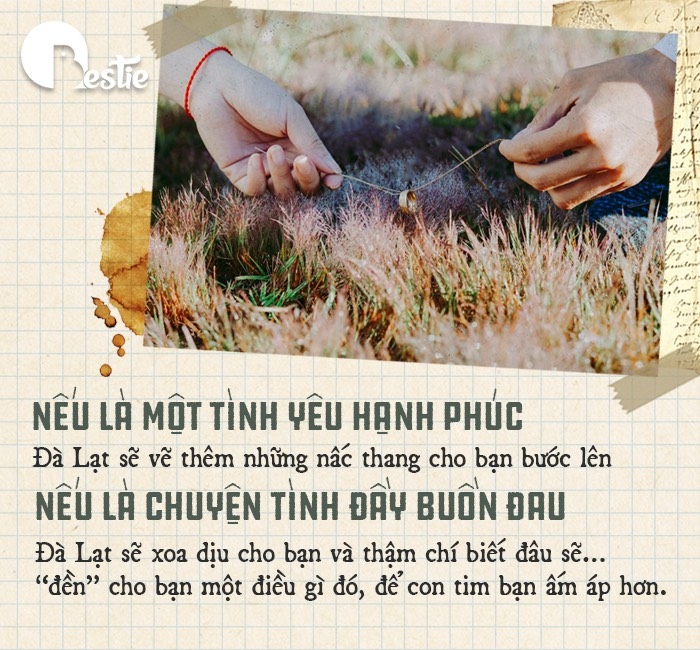 Đà Lạt - nhà bank ký ức cho những ngày tháng ngông cuồng