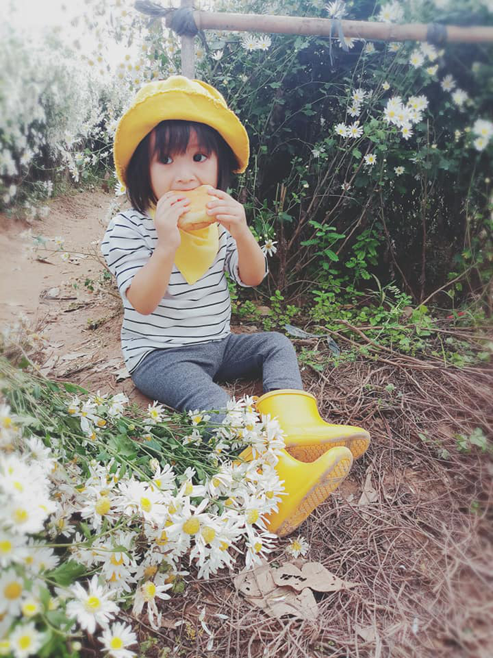 Em bé có hành động đáng yêu đang nhặt rác giữa vườn hoa cúc họa mi