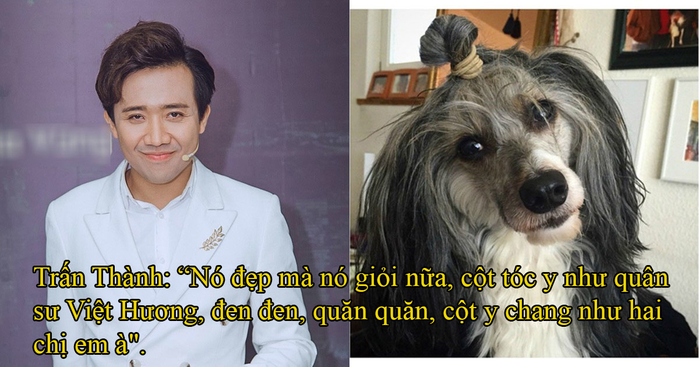 Nhung cau noi dua cua sao hạng A Vbiz khien nguoi trong cuoc va khan gia toat mo hoi