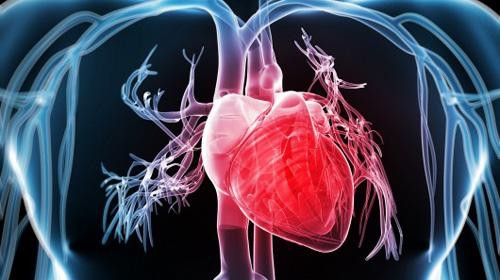 Kỳ lạ người đàn ông máu màu trắng đục bác sĩ tiết lộ nguyên nhân