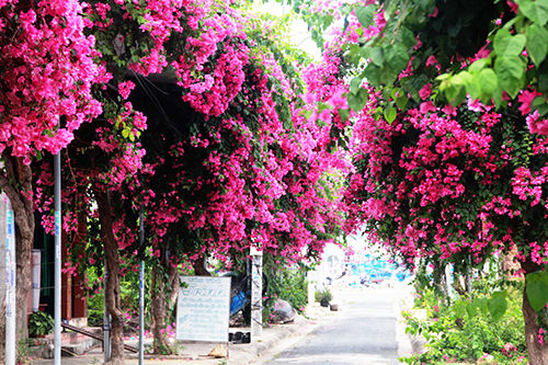 Những trải nghiệm bạn nhất định phải thử khi tới Nha Trang - Ảnh 3. Những trải nghiệm bạn nhất định phải thử khi tới Nha Trang - Ảnh 3.