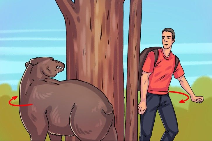 7 sự thật ít người biết này sẽ cứu mạng bạn vào một ngày nào đó trong đời - Ảnh 1. 7 sự thật ít người biết này sẽ cứu mạng bạn vào một ngày nào đó trong đời - Ảnh 1.