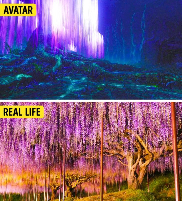 14 cảnh đẹp trong phim hoá ra có ngoài đời thực, riêng Infinity War và Avatar sẽ khiến bạn ngạc nhiên nhất - Ảnh 1. 14 cảnh đẹp trong phim hoá ra có ngoài đời thực, riêng Infinity War và Avatar sẽ khiến bạn ngạc nhiên nhất - Ảnh 1.