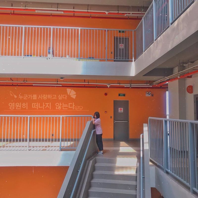 5 trường Đại học sống ảo “xịn” nhất Sài Gòn, cứ đứng vào là có ngay hình nghìn like khiến ai cũng gato - Ảnh 4. 5 trường Đại học sống ảo “xịn” nhất Sài Gòn, cứ đứng vào là có ngay hình nghìn like khiến ai cũng gato - Ảnh 4.