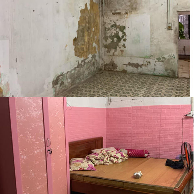 #F5MyHouseChallenge: Thử thách F5 phòng trọ, nhà thuê thành không gian xinh xắn hơn, bạn đã thử chưa? - Ảnh 5. #F5MyHouseChallenge: Thử thách F5 phòng trọ, nhà thuê thành không gian xinh xắn hơn, bạn đã thử chưa? - Ảnh 5.