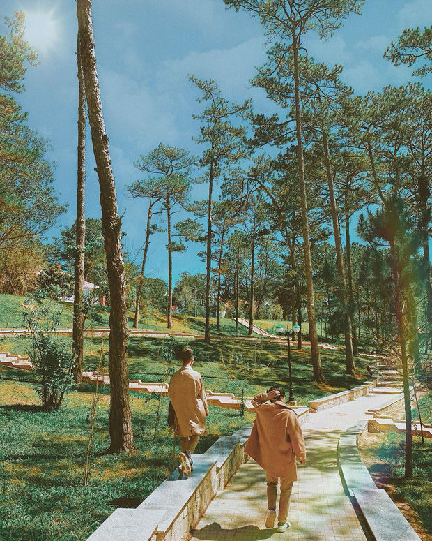 Quên Cao Đẳng Sư Phạm đi, Đà Lạt còn có một ngôi trường sống ảo đẹp chẳng thua Hàn Quốc đây này! - Ảnh 5. Quên Cao Đẳng Sư Phạm đi, Đà Lạt còn có một ngôi trường sống ảo đẹp chẳng thua Hàn Quốc đây này! - Ảnh 5.